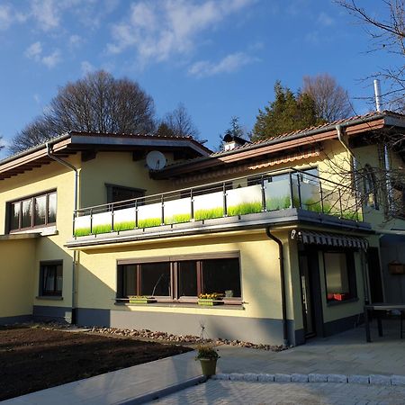 Fewo Single Mini Feldberg  Dış mekan fotoğraf
